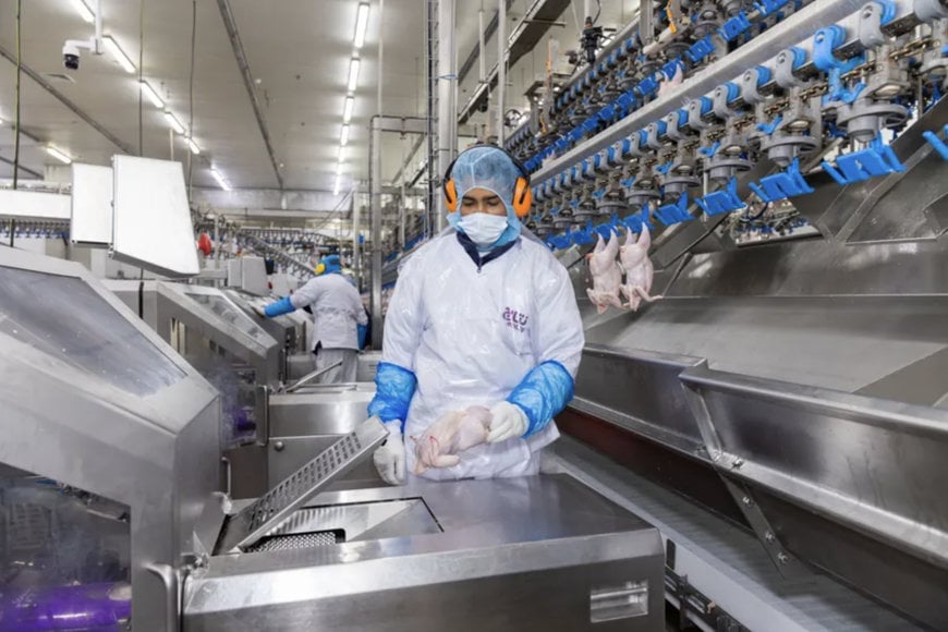&ldquo;Traceability is a must&rdquo;: How Marel software is empowering Arasco Entaj Poultry